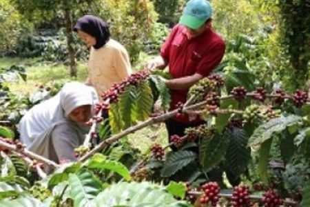 program_pendampingan1