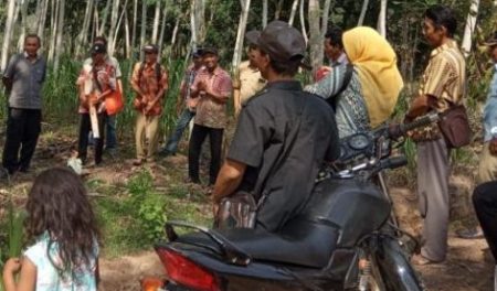 program_pendampingan2